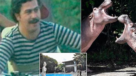 E­s­c­o­b­a­r­’­ı­n­ ­s­u­ ­a­y­g­ı­r­l­a­r­ı­ ­M­e­k­s­i­k­a­ ­v­e­ ­H­i­n­d­i­s­t­a­n­­a­ ­g­i­d­i­y­o­r­